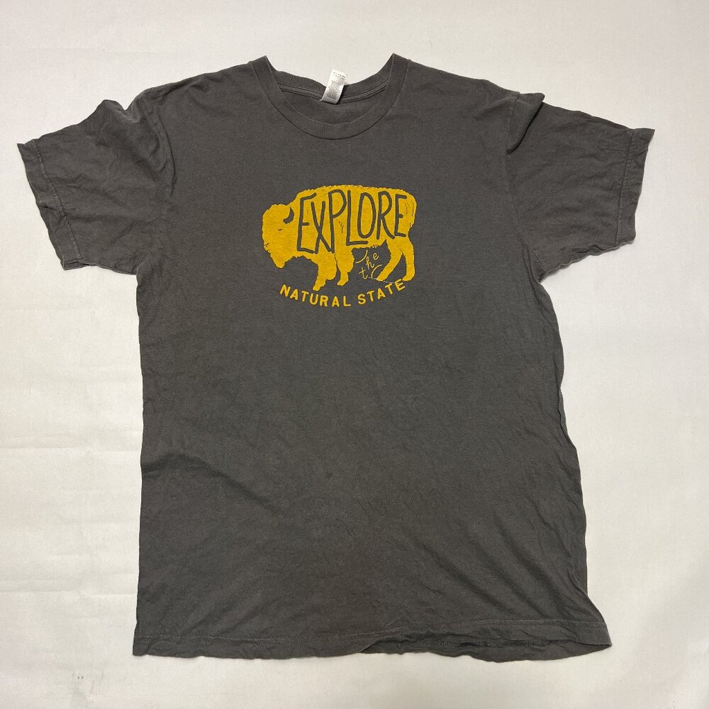 American Apparel Buffalo River Arkansas Graphic T-Shirt Dark Gray Large
